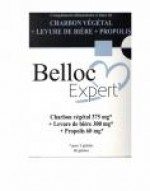Charbon de Belloc Expert Remplace Belloc Confort