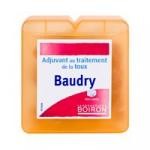 Boiron Pate Baudry à Sucer